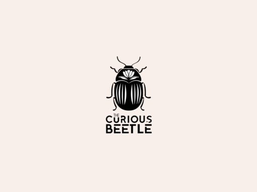 The Curious Beetle
