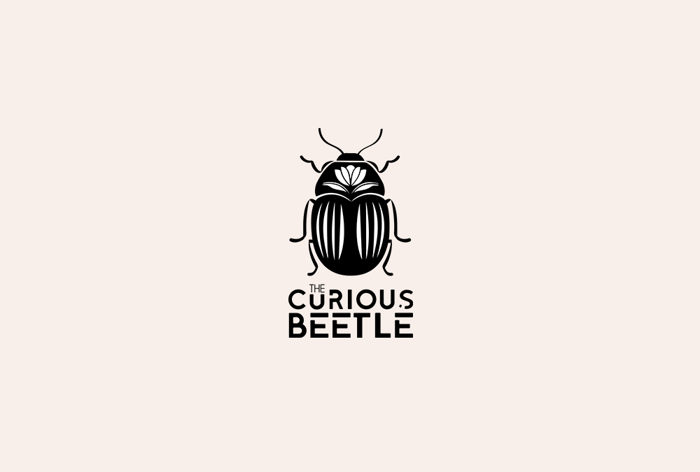 The Curious Beetle